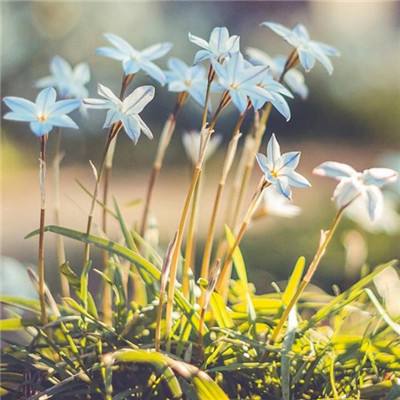 Kaiyun·体育(全站)登陆入口官方网站登录入口