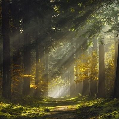 爱游戏app官方网站手机版