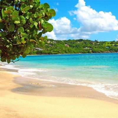 半岛综合体育APP下载