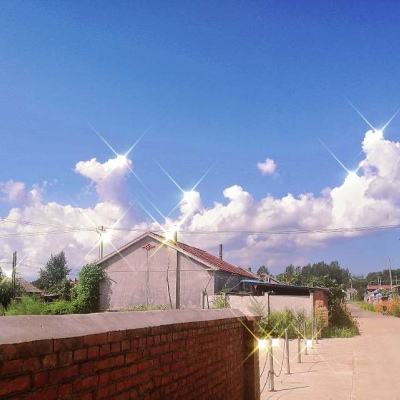 炸金花游戏app下载