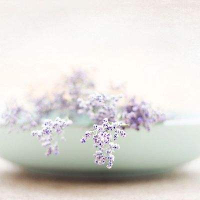 域网棋牌游戏手机app下载