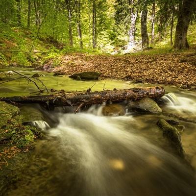 半岛·体育综合APP下载